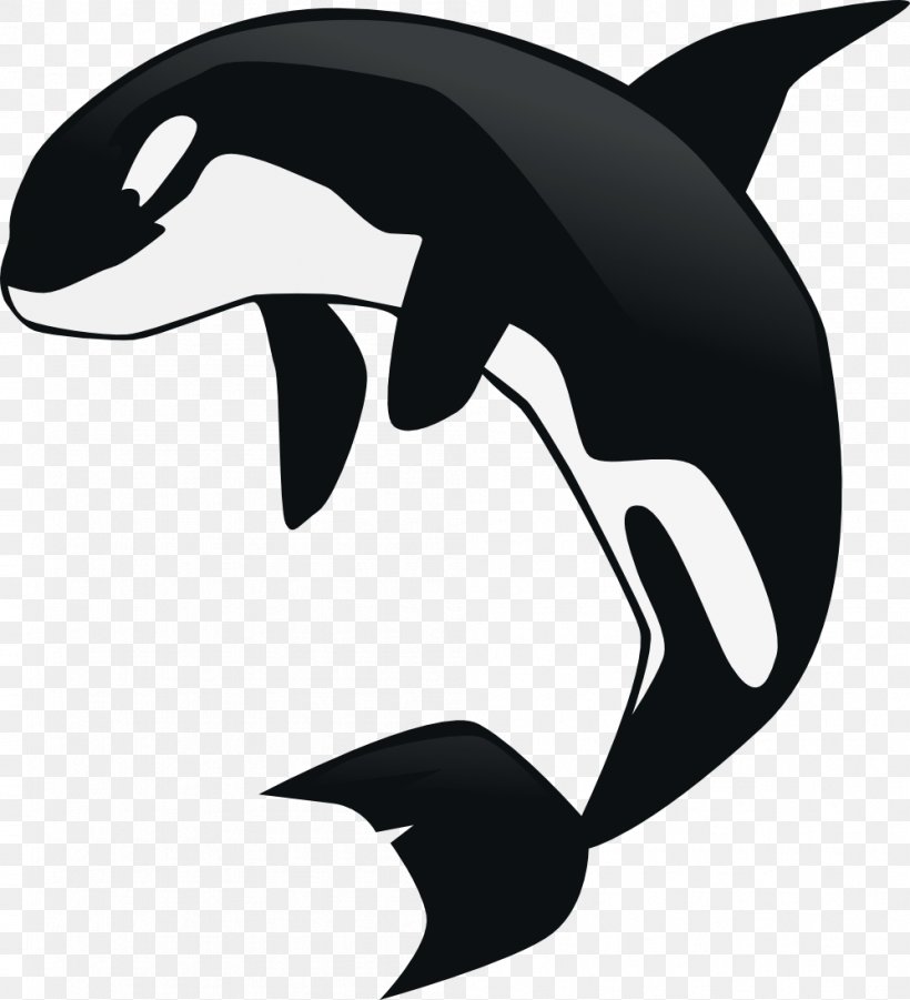 Killer Whale Clip Art, PNG, 998x1097px, Killer Whale, Artwork, Beak, Black, Black And White Download Free