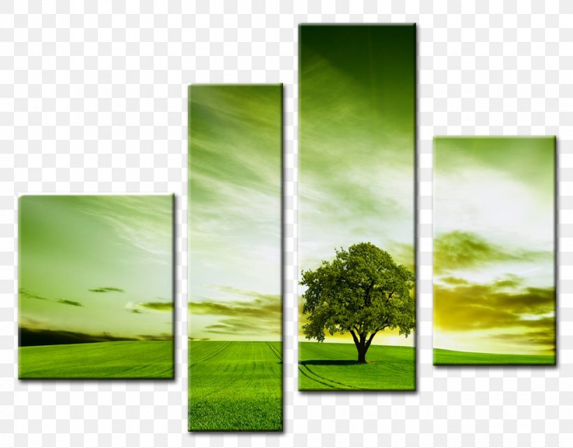 Tree Desktop Wallpaper Painting Wallpaper, PNG, 982x768px, Tree, Digital Image, Display Resolution, Ecosystem, Energy Download Free