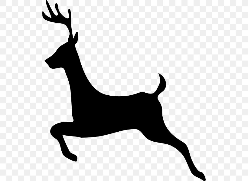 White-tailed Deer Moose Elk Clip Art, PNG, 540x598px, Deer, Antler, Black, Black And White, Deer Hunting Download Free