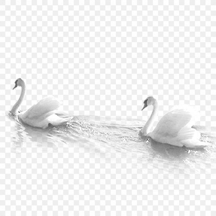 Domestic Goose Cygnini White, PNG, 1417x1417px, Domestic Goose, Beak, Bird, Black, Black And White Download Free