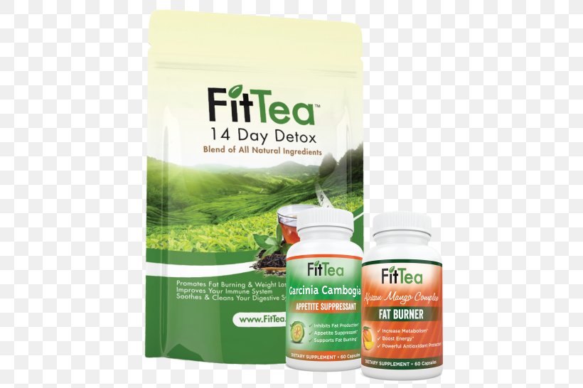 Green Tea Weight Loss Detoxification FitTea, PNG, 503x546px, Tea, Adipose Tissue, Anorectic, Appetite, Detoxification Download Free