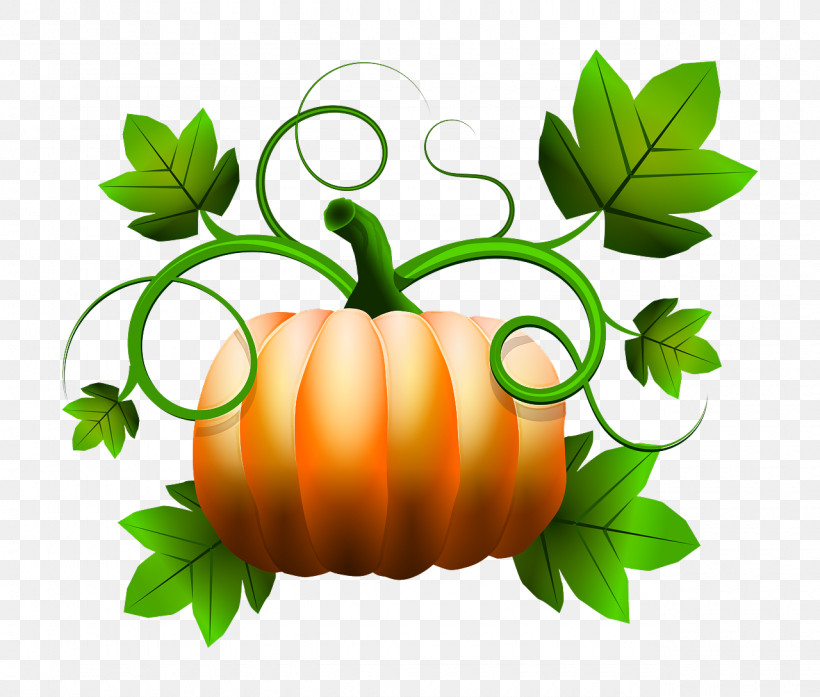 Pumpkin, PNG, 1280x1088px, Leaf, Flower, Green, Herb, Natural Foods Download Free