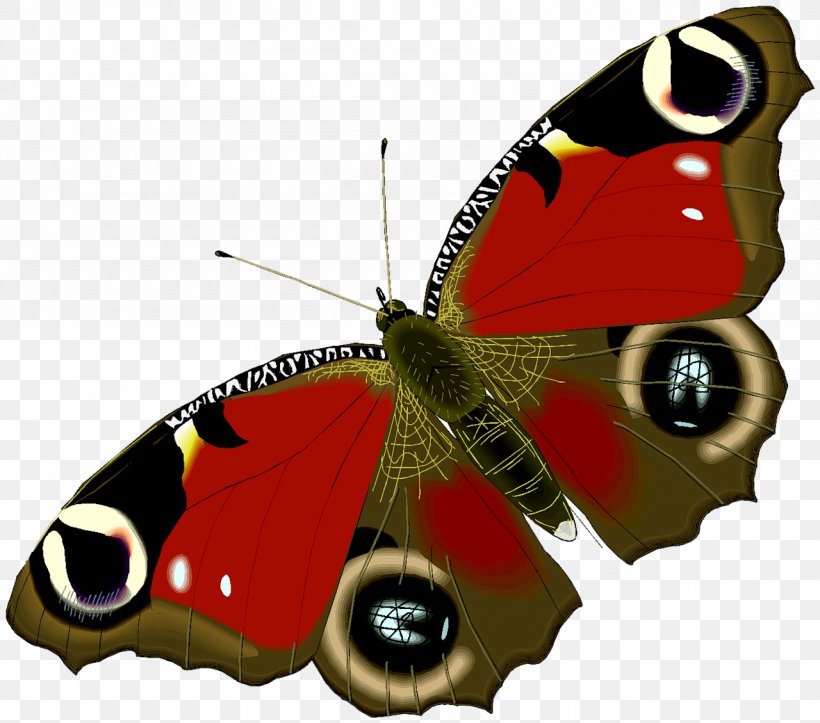 Butterfly Animation Drawing Clip Art, PNG, 1280x1129px, Butterfly, Animation, Arthropod, Boloria Eunomia, Brush Footed Butterfly Download Free