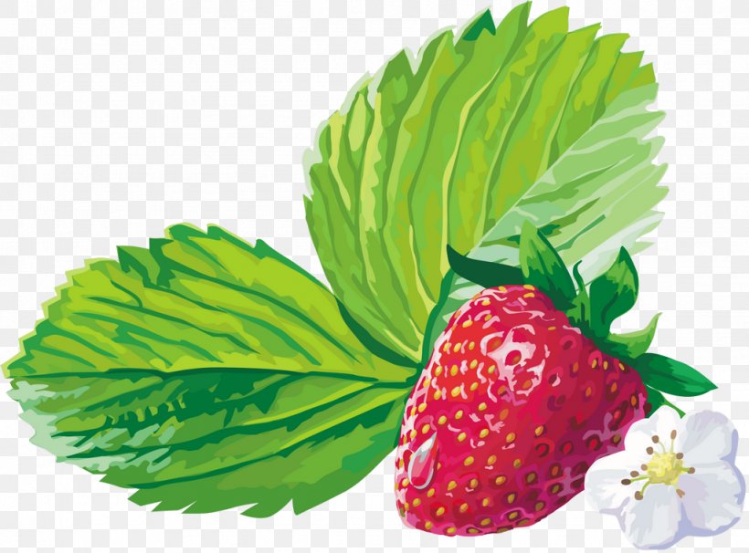Musk Strawberry Raspberry Fruit, PNG, 1024x758px, Strawberry, Auglis, Berry, Food, Fragaria Download Free
