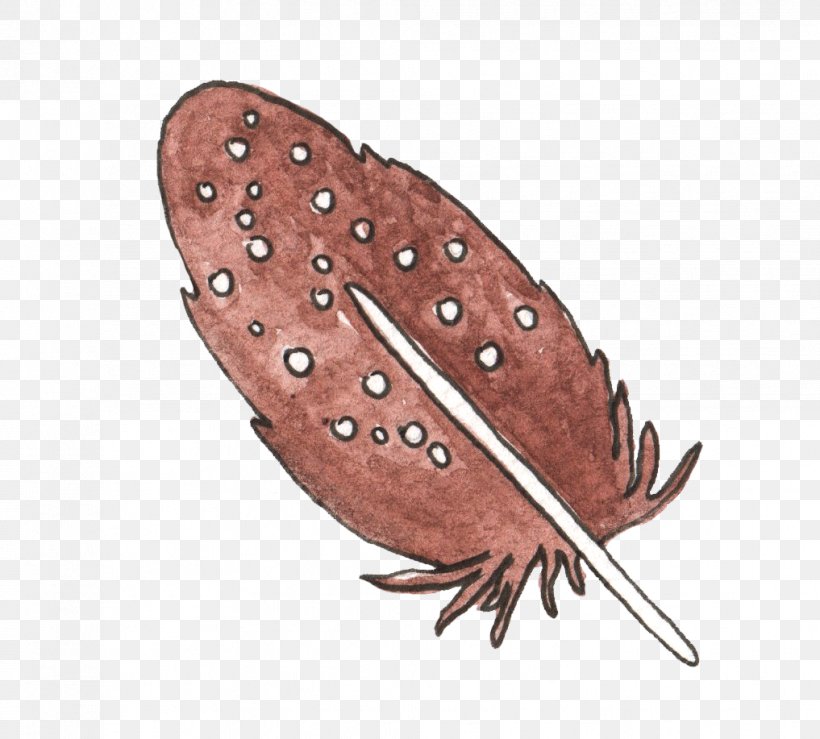 Feather Brown Euclidean Vector, PNG, 1017x917px, Feather, Brown, Designer, Drawing, Gratis Download Free