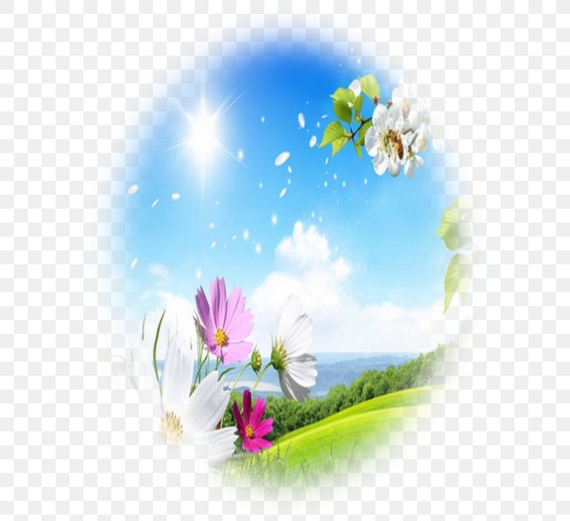 Gloud Games, PNG, 600x749px, Greeting, Android, Blossom, Daisy, Daytime Download Free