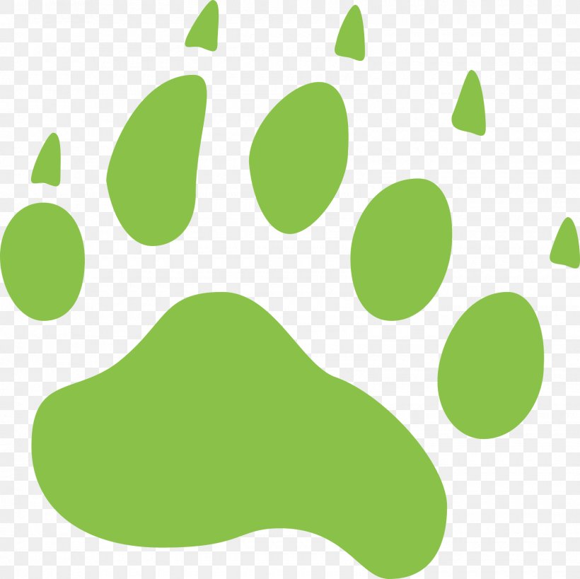 American Black Bear Paw, PNG, 1600x1600px, American Black Bear, Animal, Animal Track, Bear, Footprint Download Free