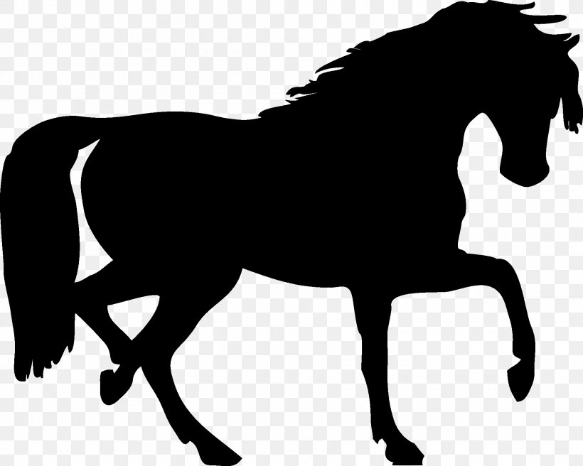 Mustang Silhouette Clip Art, PNG, 1920x1538px, Mustang, Black, Black And White, Bridle, Colt Download Free