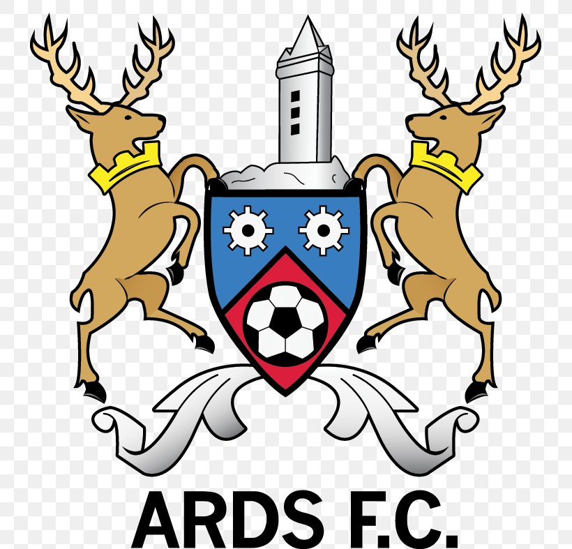 Ards F.C. Cliftonville F.C. NIFL Premiership Coleraine F.C., PNG, 733x787px, Ards Fc, Art, Artwork, Ballymena United Fc, Christmas Download Free