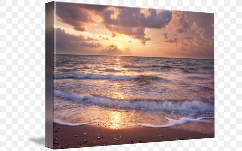 Corpus Christi Bay North Beach Art Sea, PNG, 650x513px, North Beach, Art, Bay, Calm, Canvas Download Free