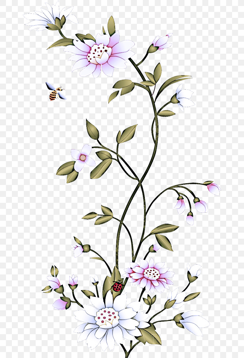 Flower Plant Pedicel Petal Cut Flowers, PNG, 667x1200px, Flower, Cut Flowers, Pedicel, Petal, Plant Download Free