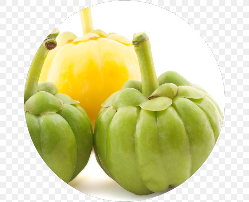 Garcinia Cambogia Dietary Supplement Hydroxycitric Acid Health Extract, PNG, 664x666px, Garcinia Cambogia, Antiobesity Medication, Bell Pepper, Bell Peppers And Chili Peppers, Commodity Download Free