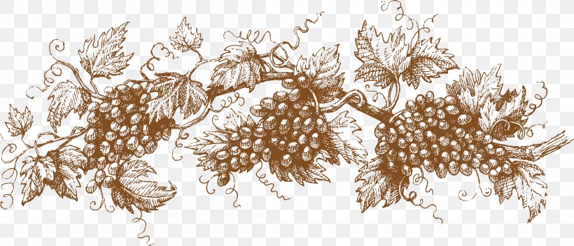 Grape Drawing Graphic Design Illustration, PNG, 4455x1914px, Grape, Branch, Decor, Drawing, Grapevines Download Free