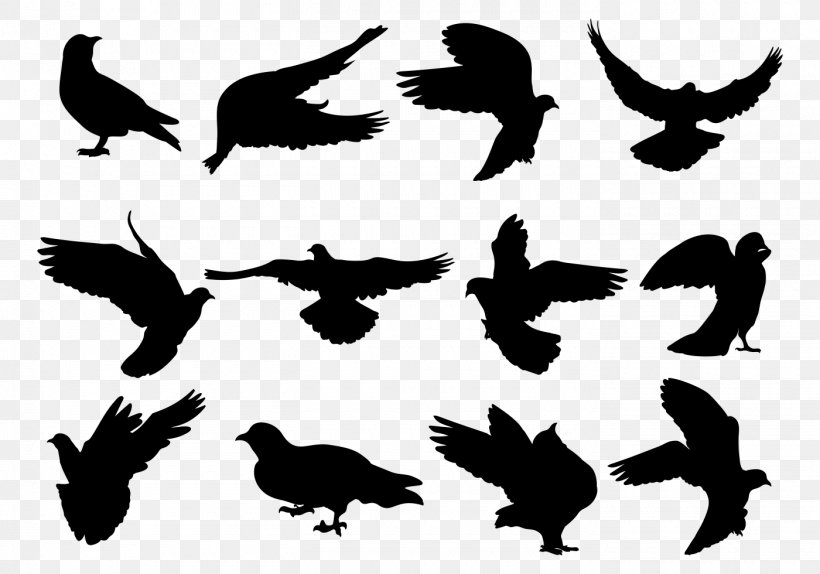 Rock Dove Columbidae Silhouette Bird, PNG, 1400x980px, Rock Dove, Beak, Bird, Bird Of Prey, Black And White Download Free