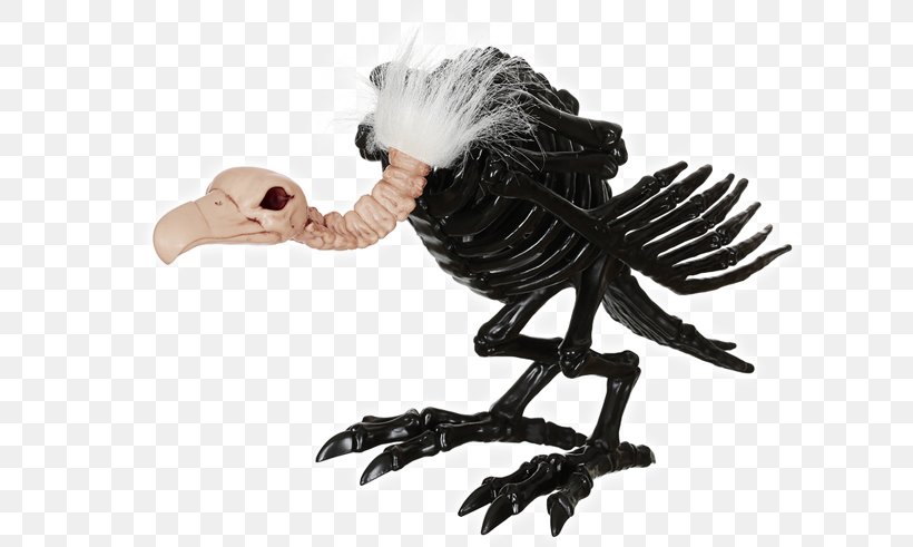 Turkey Vulture Skeleton Bone Skull, PNG, 650x491px, Turkey Vulture, Accipitridae, Animal Figure, Bearded Vulture, Bird Download Free