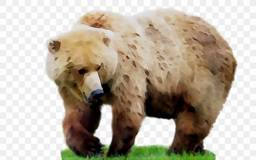Grizzly Bear Giant Panda Animal PicsArt Photo Studio, PNG, 1215x760px, Grizzly Bear, Adaptation, Animal, Animal Figure, Bear Download Free