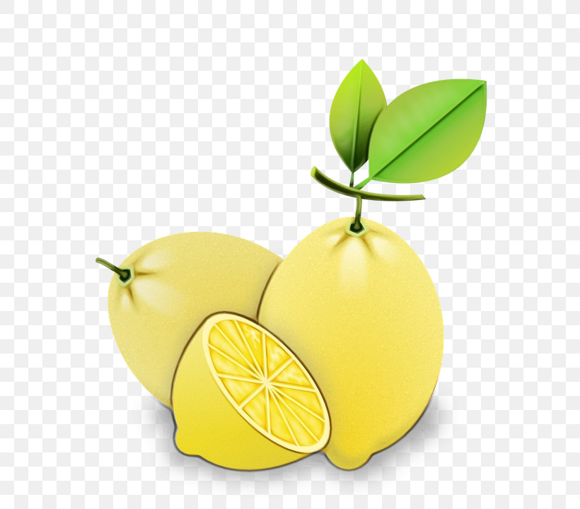 Lemon Citron Persian Lime Lime Sweet Lemon, PNG, 720x720px, Watercolor, Citric Acid, Citron, Citrus Fruit, Lemon Download Free