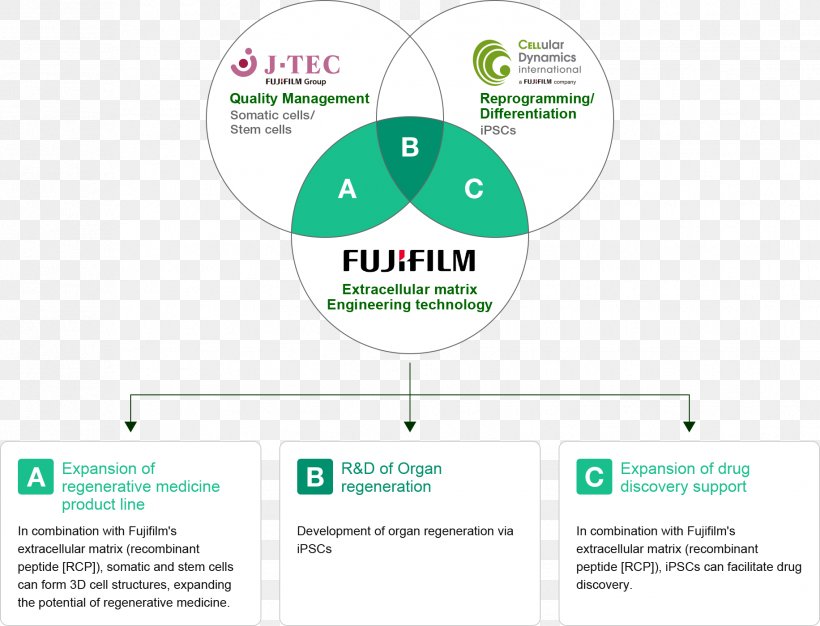 Regenerative Medicine Regeneration Fujifilm Cell Therapy, PNG, 1832x1400px, Regenerative Medicine, Area, Brand, Cell, Cell Therapy Download Free