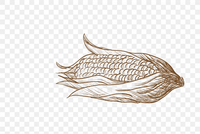 Vector Graphics Graphic Design, PNG, 2500x1678px, Corn, Drawing, Fish, Food, Grain Download Free