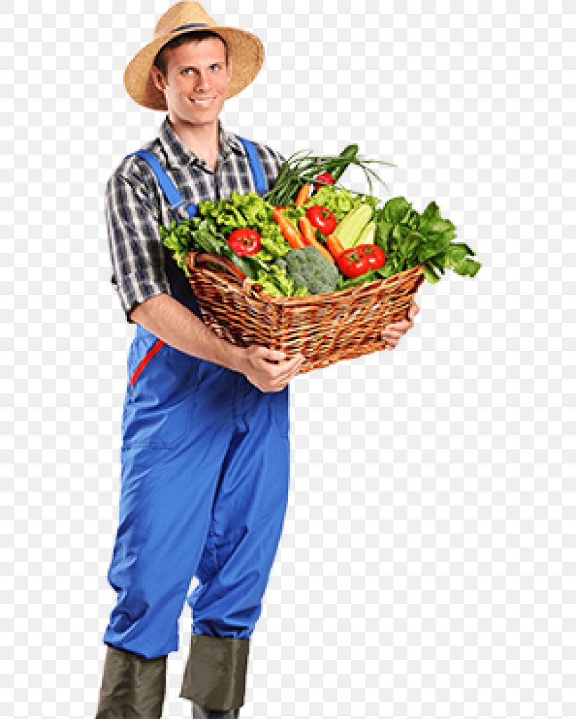 Carrot Cartoon, PNG, 552x1024px, Agriculturist, Agriculture, Basket, Carrot, Farm Download Free