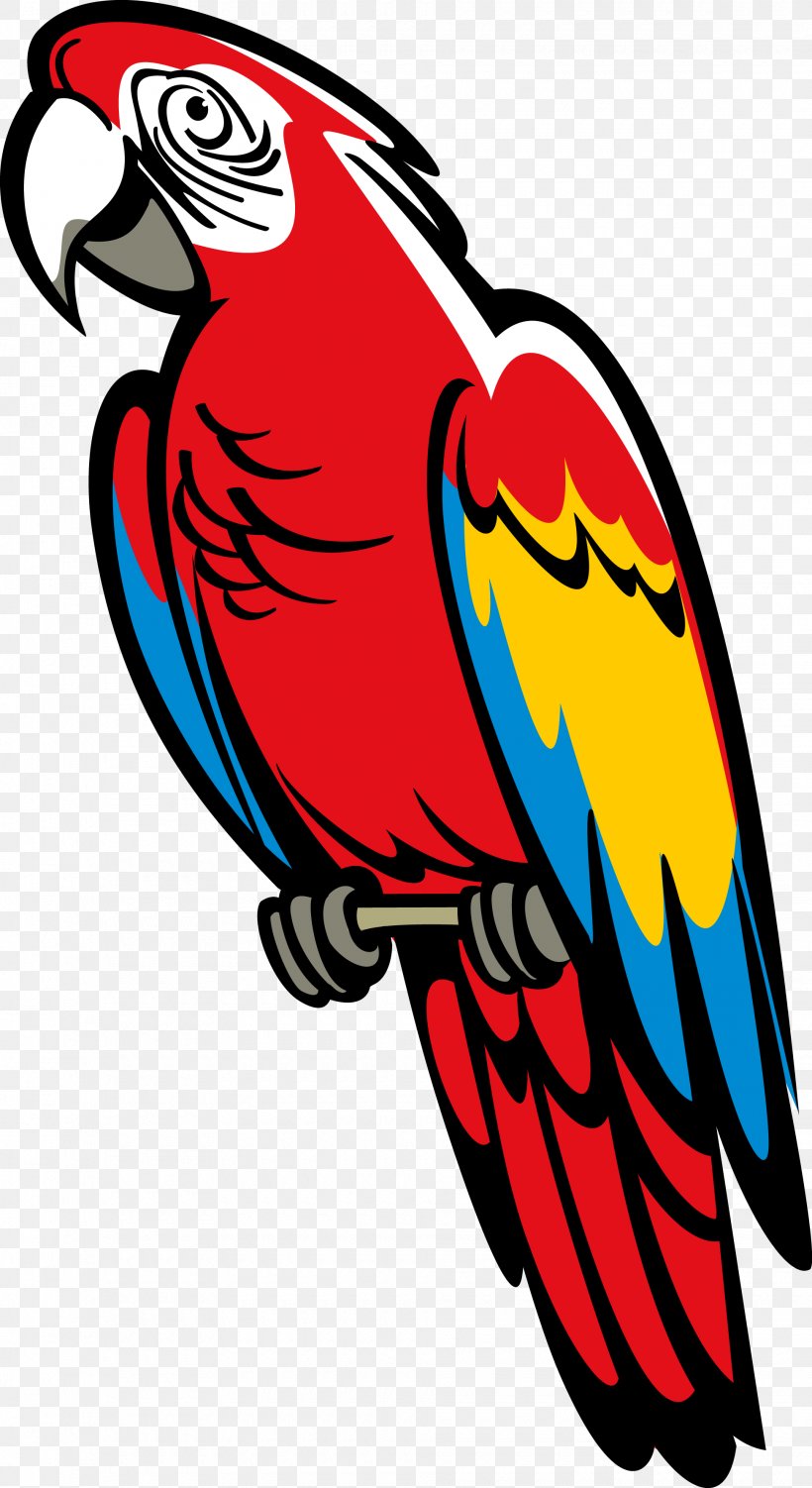 Parrot Heraldry Bird Coat Of Arms Macaw, PNG, 1940x3555px, Parrot, Artwork, Beak, Bird, Coat Download Free