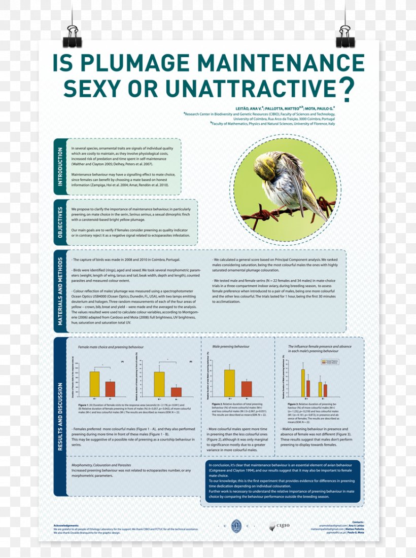 Poster Session Text Display Board, PNG, 870x1169px, Poster, Academic Conference, Advertising, Brand, Brochure Download Free