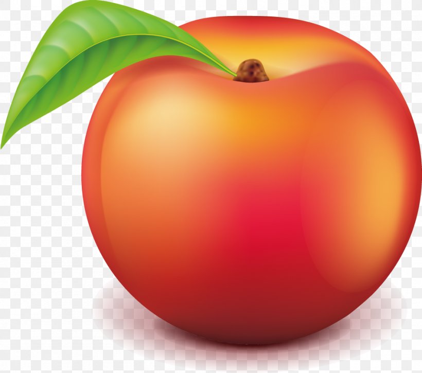 Peach Auglis, PNG, 949x840px, Peach, Apple, Auglis, Computer, Diet Food Download Free