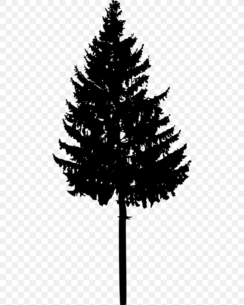 Spruce Fir Christmas Tree Silhouette, PNG, 468x1024px, Spruce, American Larch, Balsam Fir, Blackandwhite, Branch Download Free