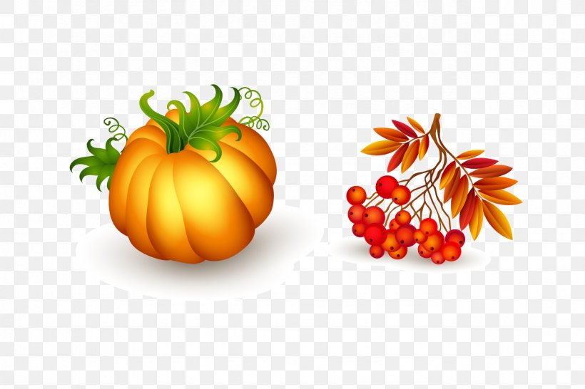 Thanksgiving Clip Art, PNG, 1279x853px, Thanksgiving, Calabaza, Cartoon, Cucurbita, Diet Food Download Free