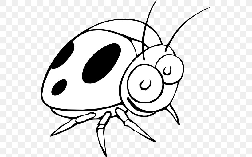 Beetle Ladybird Clip Art, PNG, 555x510px, Beetle, Animation, Artwork, Black And White, Drawing Download Free