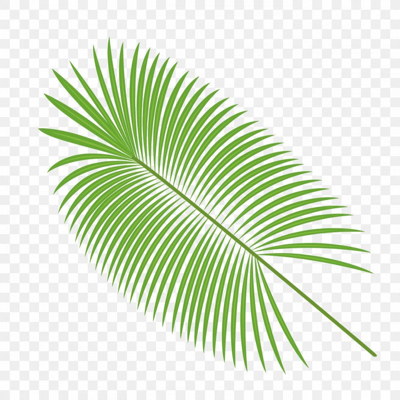 Palm Leaves Vector Material, PNG, 1400x1400px, Leaf, Arecaceae, Arecales, Coco, Coconut Download Free