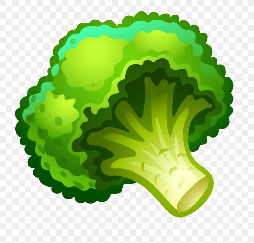Parsley Vegetable Auglis, PNG, 853x816px, Parsley, Auglis, Cauliflower, Fruit, Green Download Free