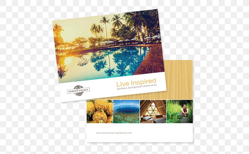 Photographic Paper Advertising Photography Brand, PNG, 500x508px, Paper, Advertising, Brand, Photographic Paper, Photography Download Free