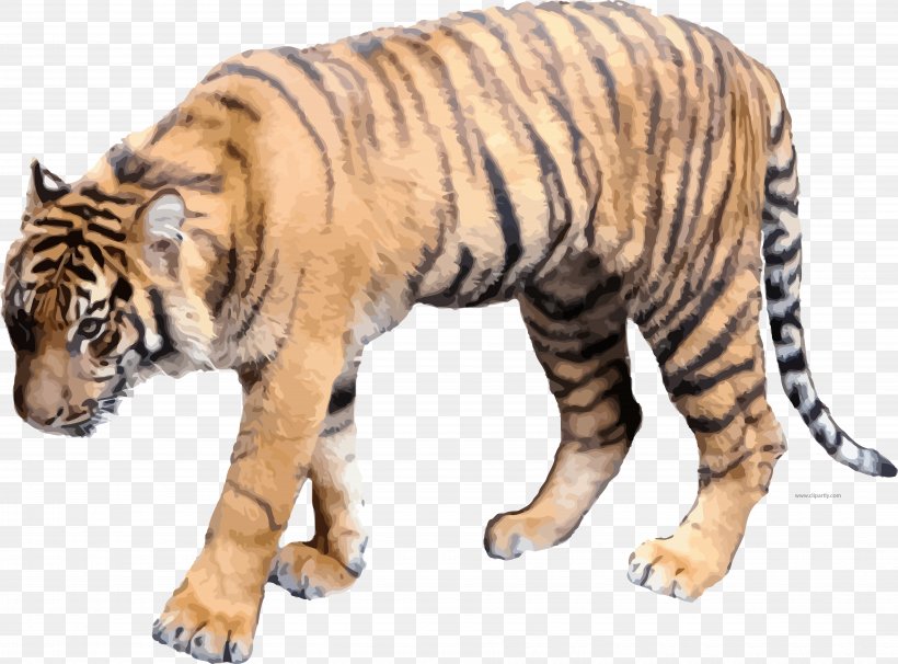Tiger Clip Art Illustration Image, PNG, 7505x5547px, Tiger, Animal Figure, Art, Art Museum, Bengal Tiger Download Free