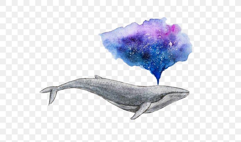 Watercolor Painting Drawing Whale Art, PNG, 736x486px, Watercolor Painting, Art, Beak, Blue Whale, Color Download Free