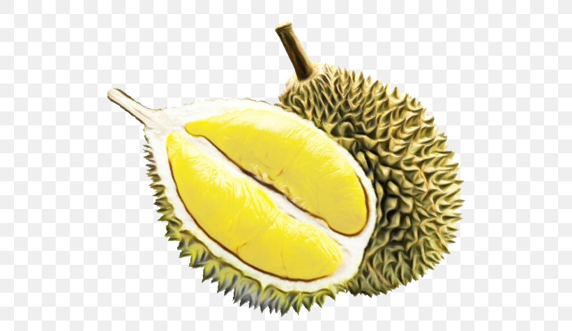 Durian Fruit Food Yellow Artocarpus, PNG, 590x475px, Watercolor, Accessory Fruit, Artocarpus, Artocarpus Odoratissimus, Cempedak Download Free