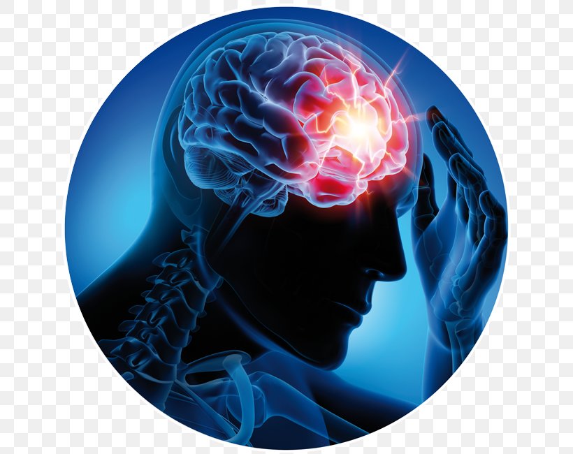 Neurological Disorder Neurology Epilepsy Neurorehabilitation Epileptic Seizure, PNG, 650x650px, Watercolor, Cartoon, Flower, Frame, Heart Download Free