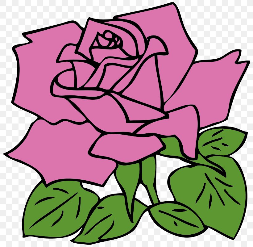 Rose Clip Art, PNG, 800x800px, Rose, Area, Art, Artwork, Camunian Rose Download Free