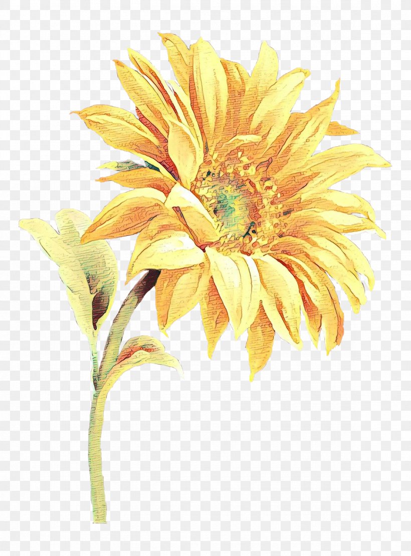 Sunflower, PNG, 1181x1600px, Cartoon, Cut Flowers, Daisy Family, Flower, Flowering Plant Download Free