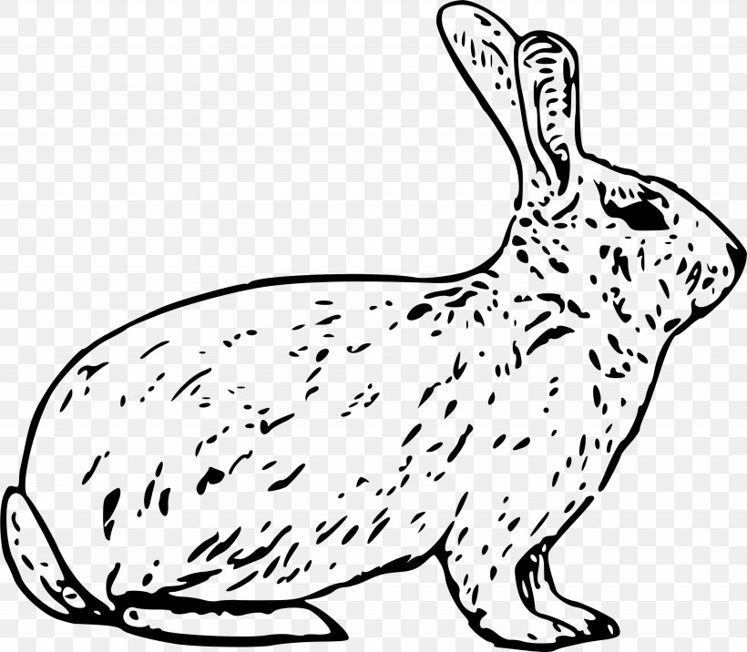 Arctic Hare European Hare Snowshoe Hare Clip Art, PNG, 2255x1971px, Arctic Hare, Animal Figure, Arctic, Black And White, Carnivoran Download Free