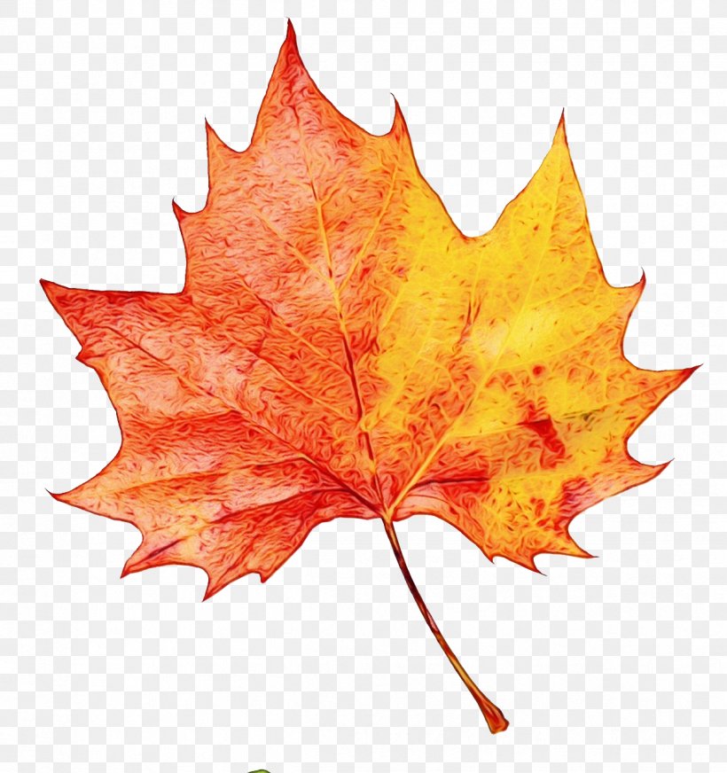 Canada Maple Leaf, PNG, 1214x1291px, Watercolor, Autumn, Black Maple, Canada, Comparison Shopping Website Download Free