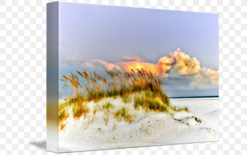 Eszra Gallery Wrap Picture Frames Art Canvas, PNG, 650x516px, Eszra, Art, Canvas, Computer, Gallery Wrap Download Free