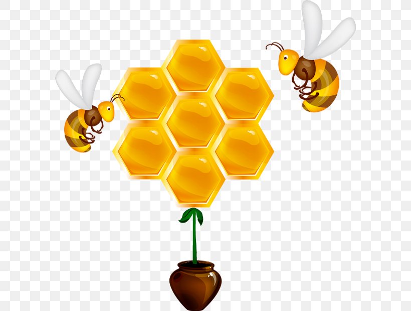 Honey Bee Honeycomb Bumblebee Clip Art, PNG, 600x620px, Honey Bee, Apidae, Bee, Bumblebee, Comb Honey Download Free