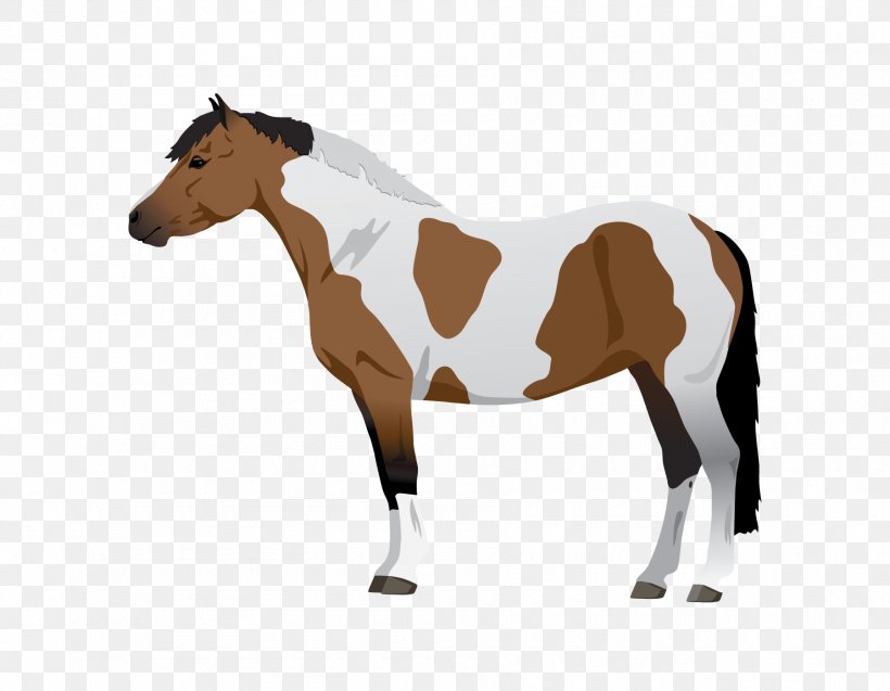 Mustang Pony Foal Mare Equine Coat Color, PNG, 1800x1400px, Mustang, Animal Figure, Bridle, Colt, Equestrian Download Free
