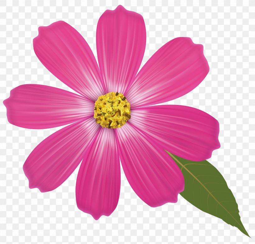 Pink Flowers Clip Art, PNG, 3000x2878px, Flower, Annual Plant, Aster, Chrysanths, Color Download Free