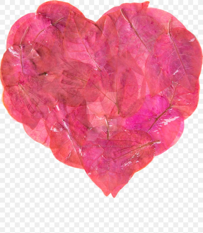 Pink M Heart, PNG, 833x958px, Pink M, Heart, Leaf, Magenta, Petal Download Free