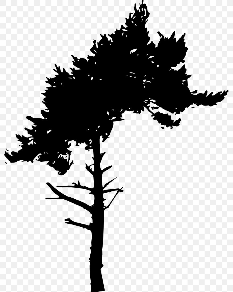 Silhouette, PNG, 789x1024px, Silhouette, Baobab, Black And White, Branch, Conifer Download Free