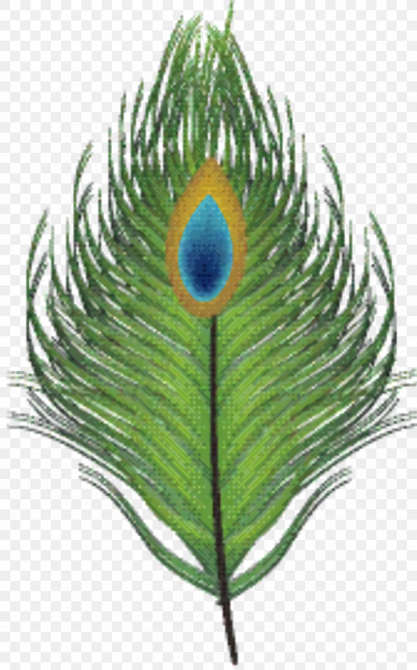 Cartoon Palm Tree, PNG, 848x1360px, Palm Trees, Animal Product, Feather, Grass, Leaf Download Free