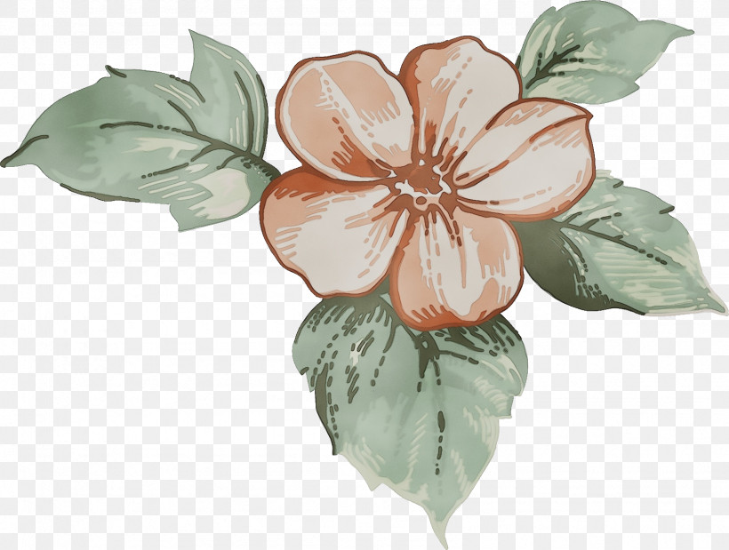 Flower Petal Plant Leaf Hawaiian Hibiscus, PNG, 1591x1202px, Drawing Flower, Floral Drawing, Flower, Hawaiian Hibiscus, Herbaceous Plant Download Free
