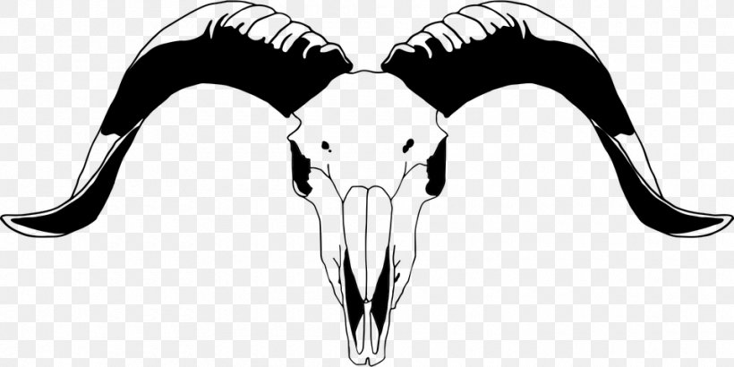 Skull Art, PNG, 960x480px, Skull, Animal, Antelope, Blackandwhite, Cattle Download Free